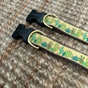 Succulents Dog Collar